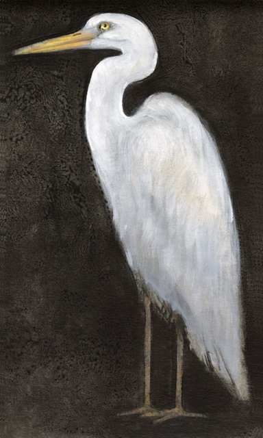 White Heron Portrait II