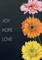 Gerbera Daisy Easter Collection B