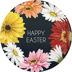 Gerbera Daisy Easter Collection C