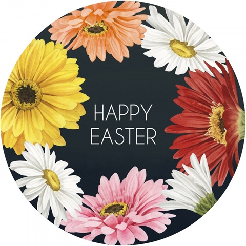 Gerbera Daisy Easter Collection C