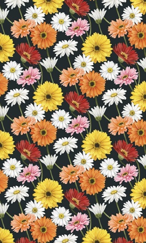 Gerbera Daisy Easter Collection E