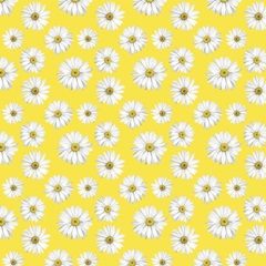 Gerbera Daisy Easter Collection F