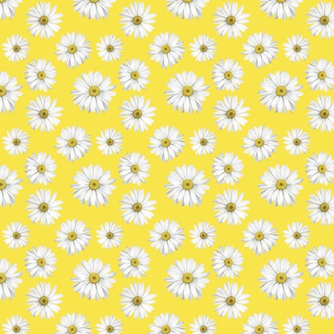 Gerbera Daisy Easter Collection F