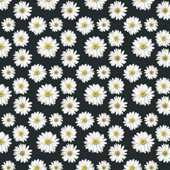 Gerbera Daisy Easter Collection G