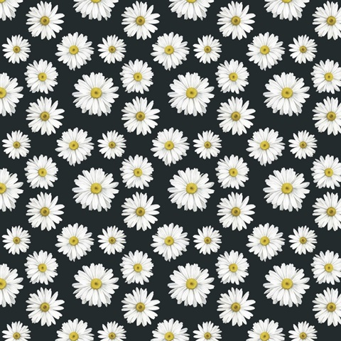 Gerbera Daisy Easter Collection G