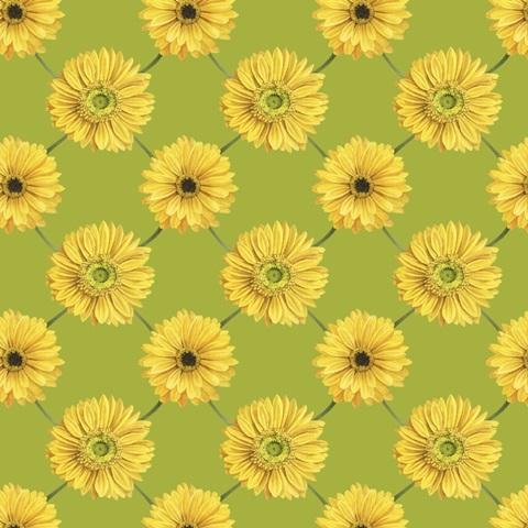 Gerbera Daisy Easter Collection H