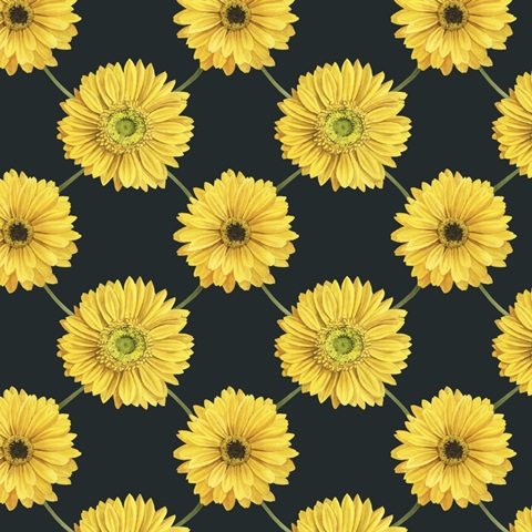 Gerbera Daisy Easter Collection I