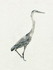 Saltwater Herons I