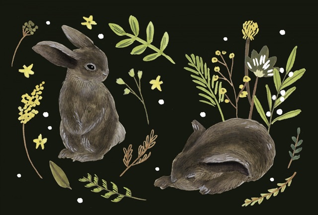 Bunny Field Collection A