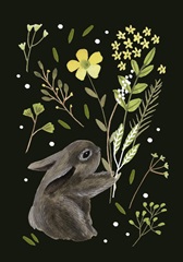 Bunny Field Collection B