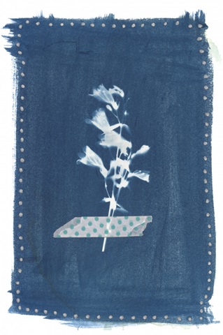 Cyanotype Pressed Leaves I