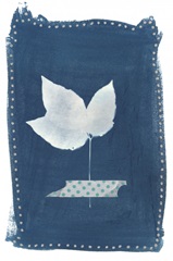 Cyanotype Pressed Leaves II