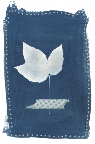 Cyanotype Pressed Leaves II