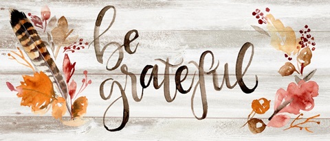 Grateful Thanksgiving Collection D