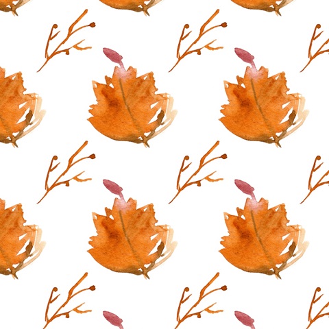 Grateful Thanksgiving Collection F