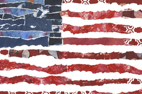 Patriotic Collage Flag I