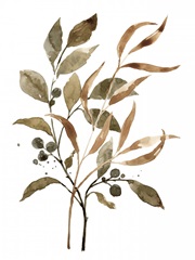 Preserved Autumn Leaves II