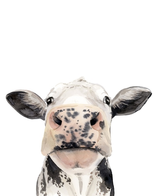 Watercolor Cow Portrait II