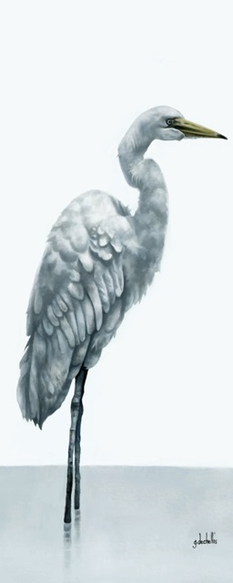Elegant Egret I