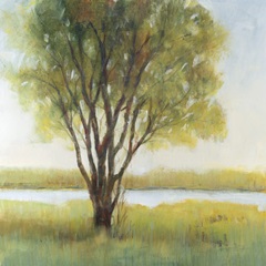 Shade Tree I