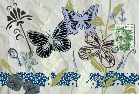 Fragile Wings Collection A