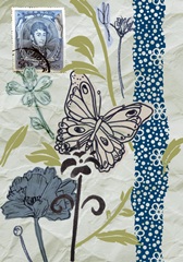 Fragile Wings Collection B