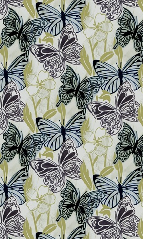 Fragile Wings Collection E