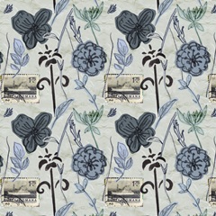 Fragile Wings Collection F