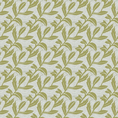 Fragile Wings Collection H