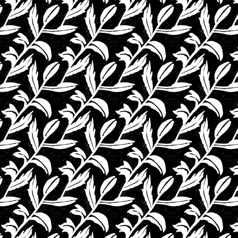 Fragile Wings Collection I