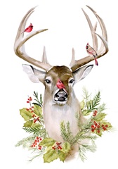 Holiday Deer Collection B