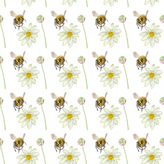 Honeybee Hive Collection F