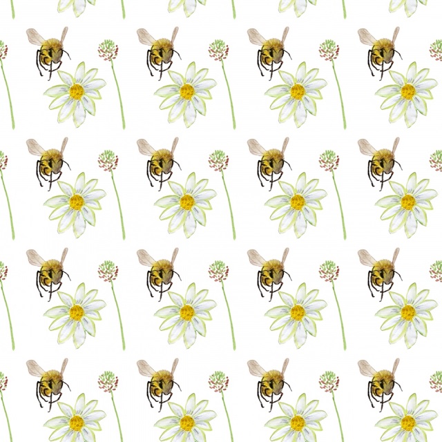 Honeybee Hive Collection F