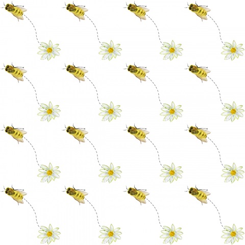 Honeybee Hive Collection H