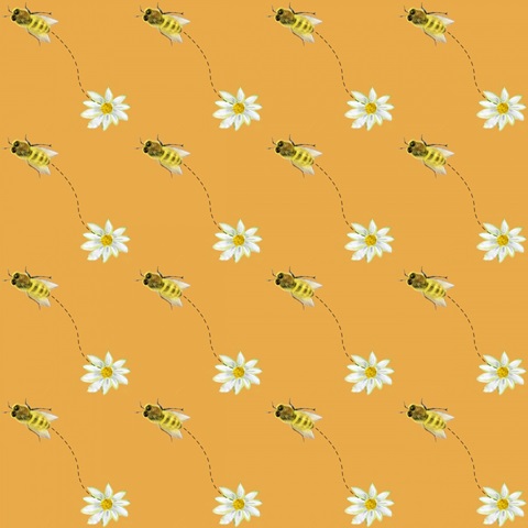 Honeybee Hive Collection I