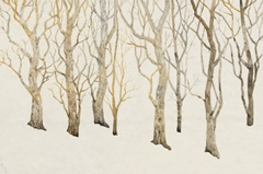 Bare Trees II