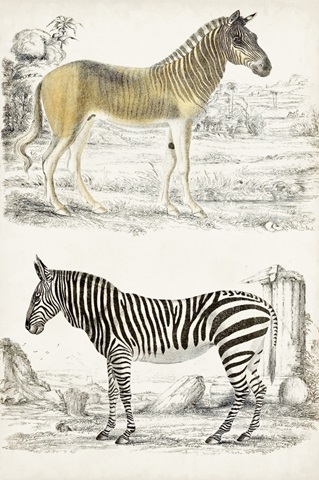 Journal of Natural History I