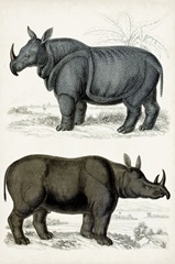 Journal of Natural History IX