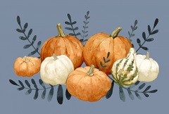 Autumn Orange & Blues Collection A