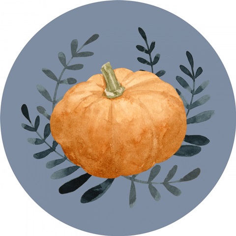 Autumn Orange & Blues Collection C