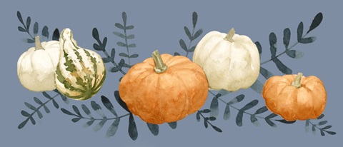 Autumn Orange & Blues Collection D