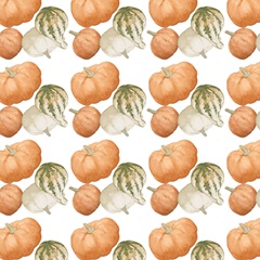 Autumn Orange & Blues Collection H