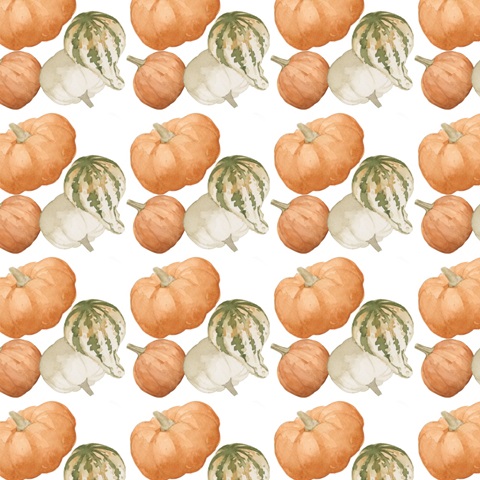 Autumn Orange & Blues Collection H