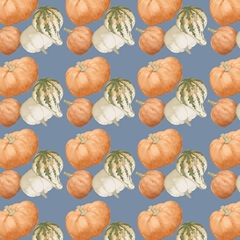 Autumn Orange & Blues Collection I