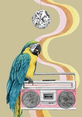 High Rollers Collection B