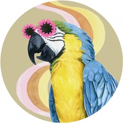 High Rollers Collection C