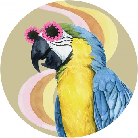 High Rollers Collection C