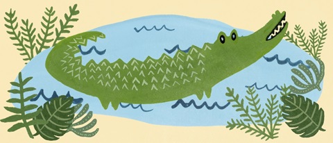 Lil Wild Ones Collection D