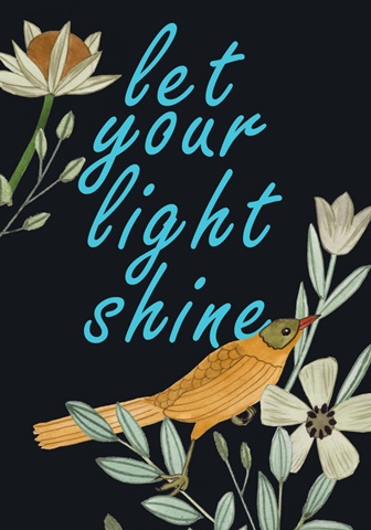 Singing Birds Collection B