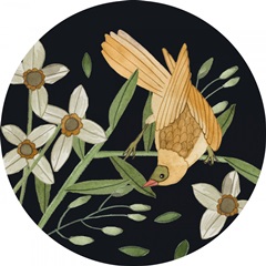 Singing Birds Collection C